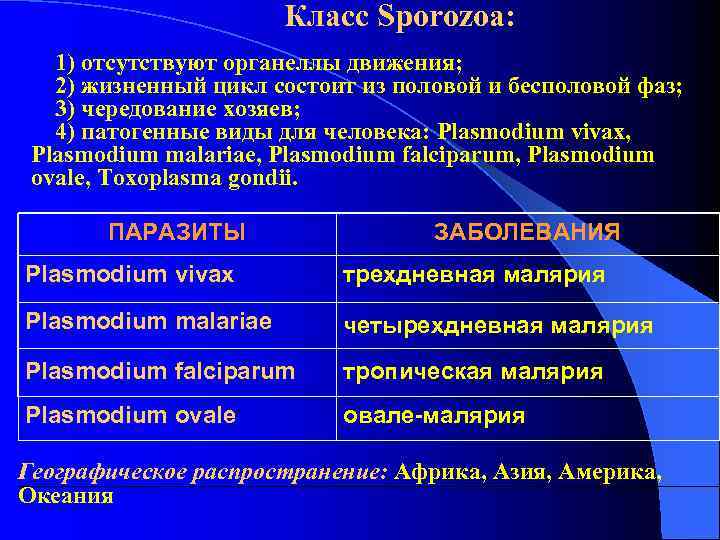 Клаcc Sporozoa: 1) отсутствуют органеллы движения; 2) жизненный цикл Клаcc Sporozoa: 1) отсутствуют органеллы движения; 2) жизненный цикл