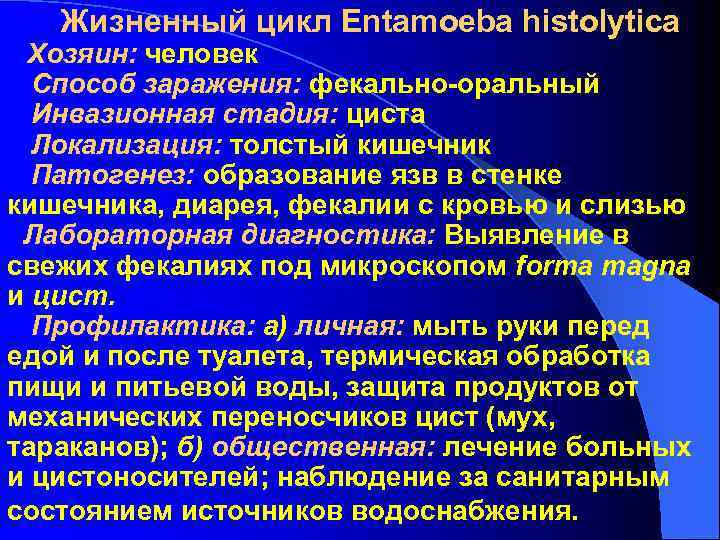 Жизненный цикл Entamoeba histolytica Хозяин: человек Способ заражения: Жизненный цикл Entamoeba histolytica Хозяин: человек Способ заражения: