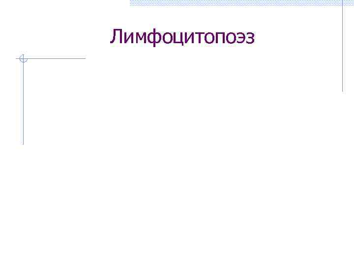 Лимфоцитопоэз 