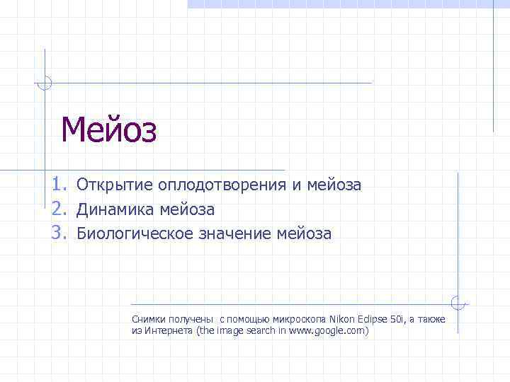 Мейоз 1. Открытие оплодотворения и мейоза 2. Динамика мейоза 3. Биологическое значение мейоза