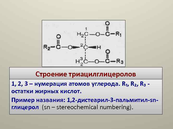 Строение триацилглицеролов 1, 2, 3 – нумерация атомов углерода. R₁, R₂, R₃ Строение триацилглицеролов 1, 2, 3 – нумерация атомов углерода. R₁, R₂, R₃
