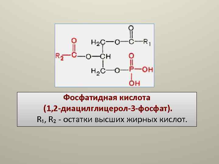 Схема образования фосфатидной кислоты содержащей остатки арахиновой и олеиновой кислот