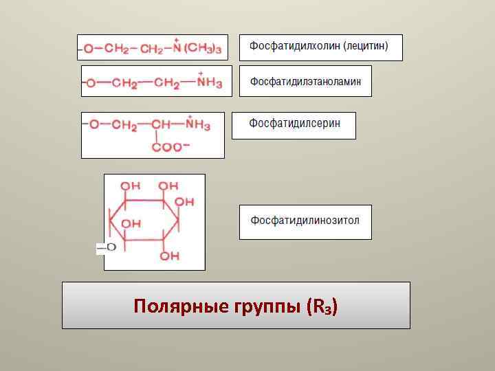 Полярные группы (R₃) Полярные группы (R₃)