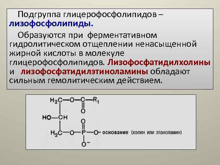 Подгруппа глицерофосфолипидов – лизофосфолипиды. Образуются при ферментативном гидролитическом отщеплении ненасыщенной жирной кислоты Подгруппа глицерофосфолипидов – лизофосфолипиды. Образуются при ферментативном гидролитическом отщеплении ненасыщенной жирной кислоты