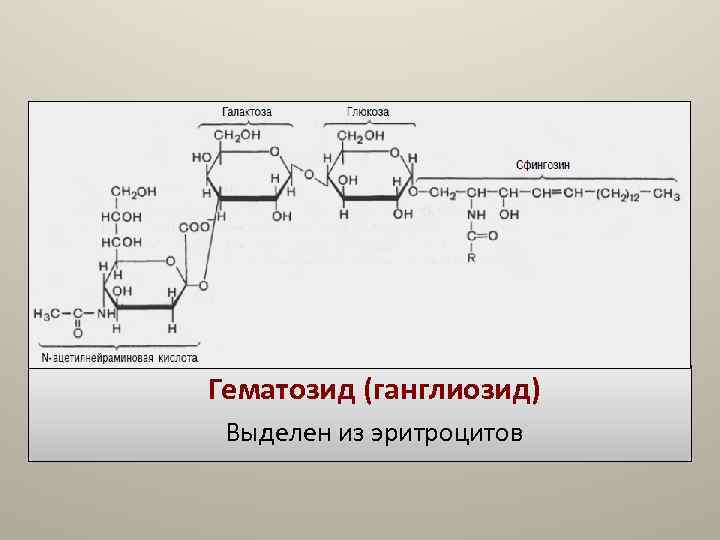 Гематозид (ганглиозид) Выделен из эритроцитов Гематозид (ганглиозид) Выделен из эритроцитов