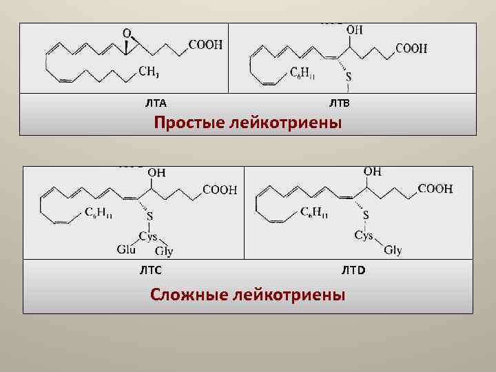 ЛТА ЛТВ Простые лейкотриены ЛТС ЛТD Сложные лейкотриены ЛТА ЛТВ Простые лейкотриены ЛТС ЛТD Сложные лейкотриены