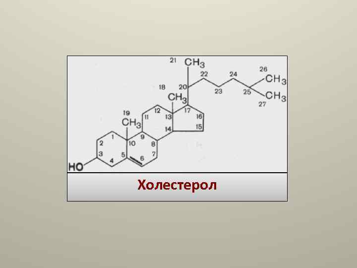 Холестерол Холестерол
