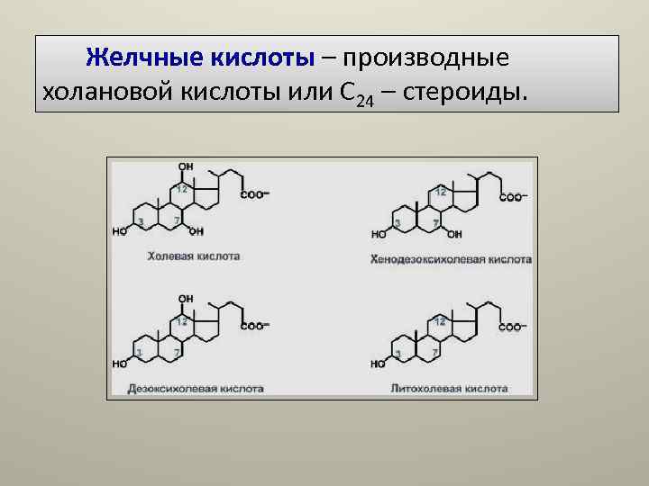 Желчные кислоты – производные холановой кислоты или С 24 – стероиды. Желчные кислоты – производные холановой кислоты или С 24 – стероиды.