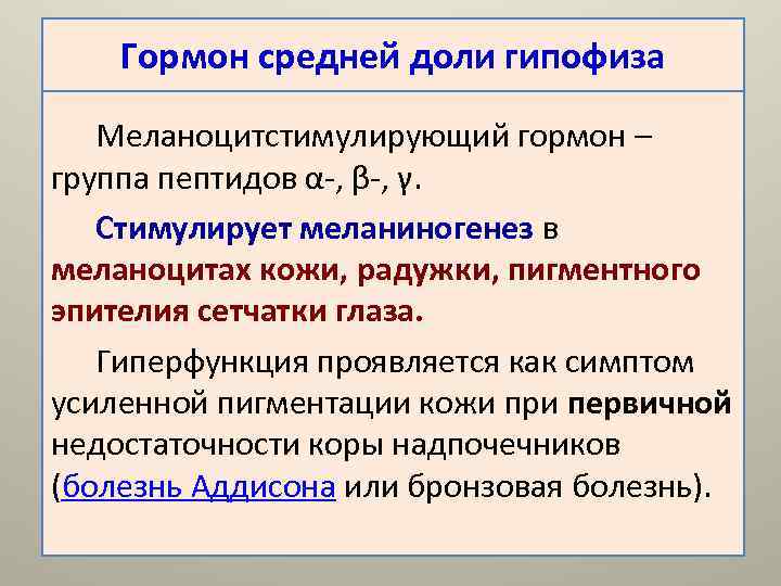   Гормон средней доли гипофиза Меланоцитстимулирующий гормон – группа пептидов α-, β-, γ.