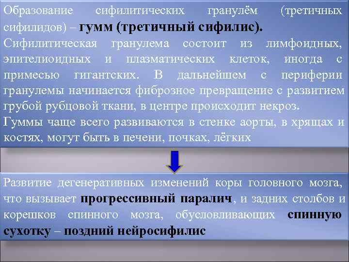 Общая характеристика вторичных сифилидов. Длительный цикл развития без лечения характерен для сифилидов. Бугоркового или гуммозного сифилидов.