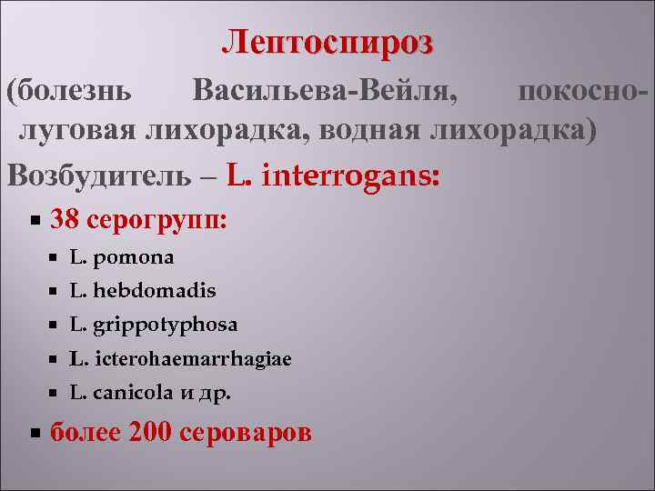      Лептоспироз (болезнь  Васильева-Вейля, покосно- луговая лихорадка, водная лихорадка)