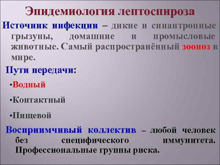   Эпидемиология лептоспироза Источник инфекции – дикие и синантропные грызуны,  домашние 