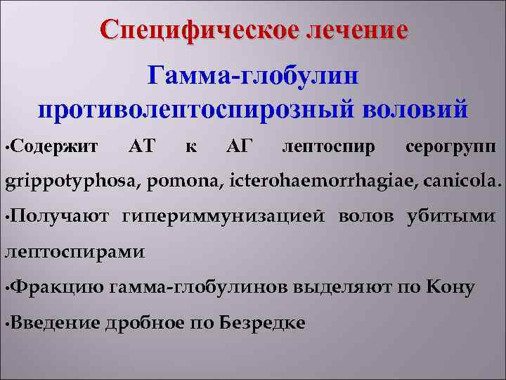   Специфическое лечение  Гамма-глобулин  противолептоспирозный воловий • Содержит АТ  к