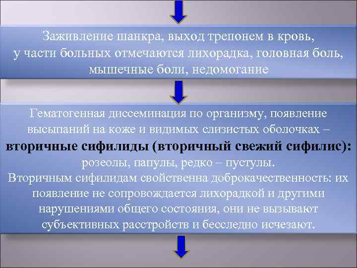  Заживление шанкра, выход трепонем в кровь,  у части больных отмечаются лихорадка, головная