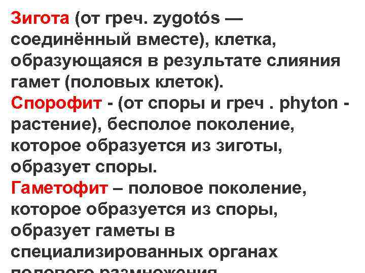 Зигота (от греч. zygotós — соединённый вместе), клетка, образующаяся в результате слияния гамет (половых