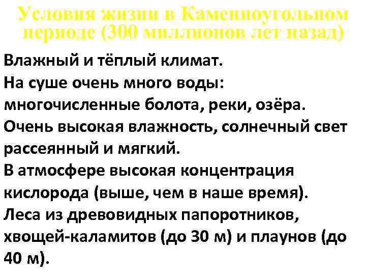  Условия жизни в Каменноугольном периоде (300 миллионов лет назад) Влажный и тёплый климат.