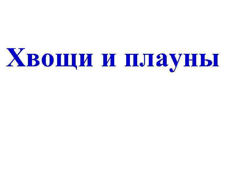 Хвощи и плауны 