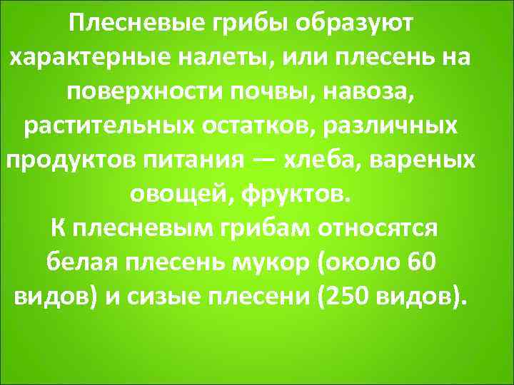  Плесневые грибы образуют характерные налеты, или плесень на поверхности почвы, навоза,  растительных