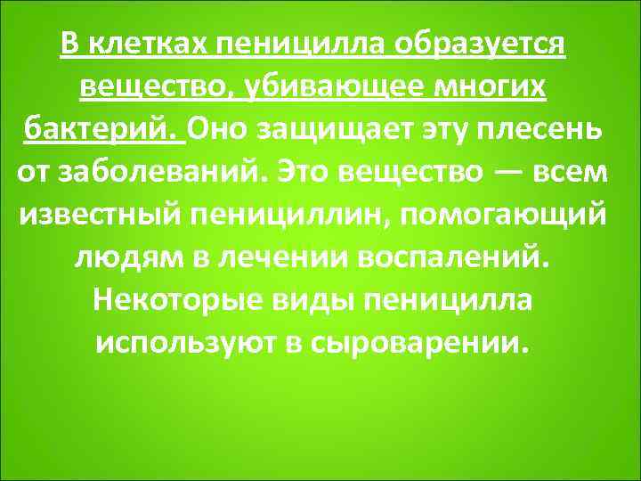   В клетках пеницилла образуется вещество, убивающее многих бактерий. Оно защищает эту плесень