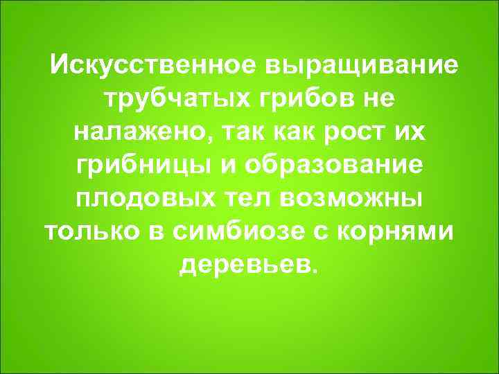 Искусственное выращивание трубчатых грибов не  налажено, так как рост их  грибницы и