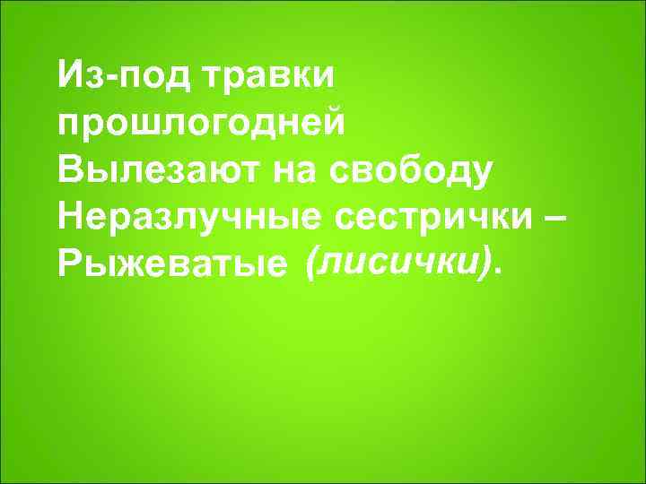 Из под травки прошлогодней Вылезают на свободу Неразлучные сестрички – Рыжеватые (лисички).  