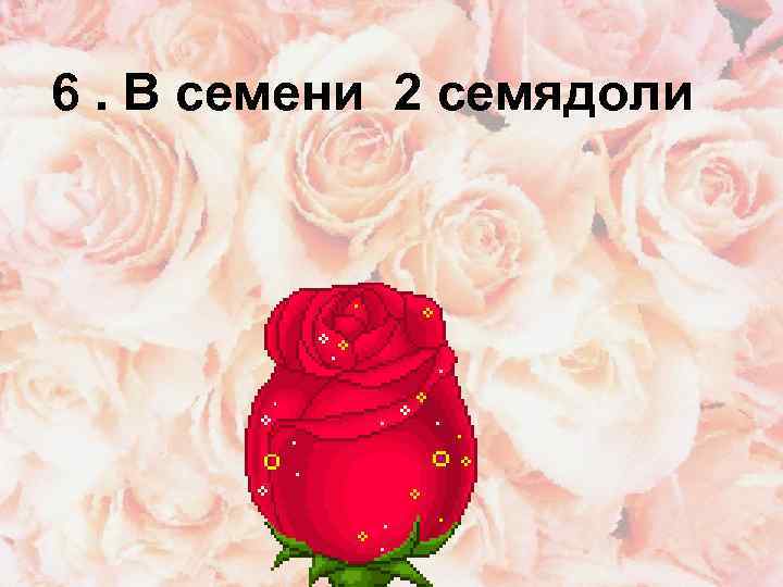 6. В семени 2 семядоли 