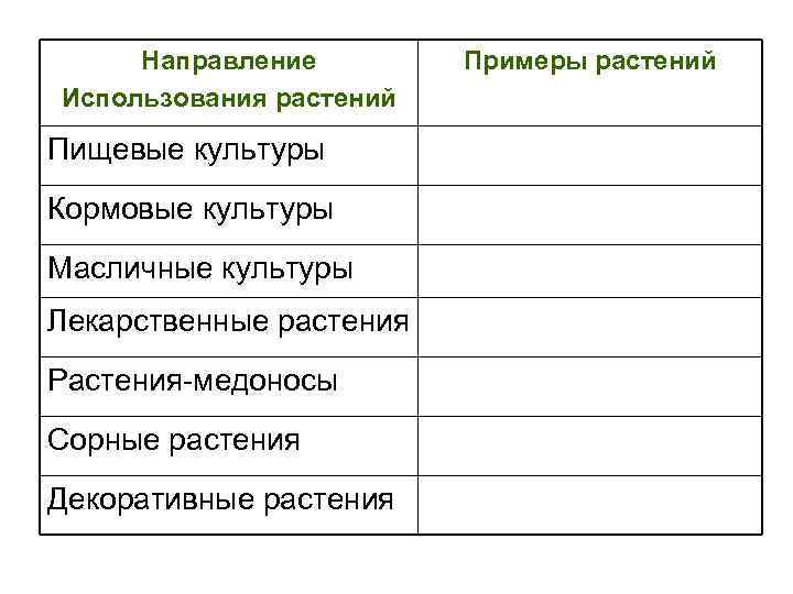  Направление   Примеры растений Использования растений Пищевые культуры Кормовые культуры Масличные культуры