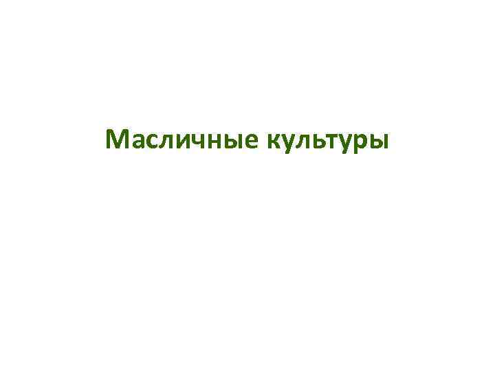 Масличные культуры 