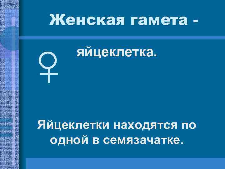 Женская гамета - яйцеклетка. Яйцеклетки находятся по одной в семязачатке. Женская гамета - яйцеклетка. Яйцеклетки находятся по одной в семязачатке.
