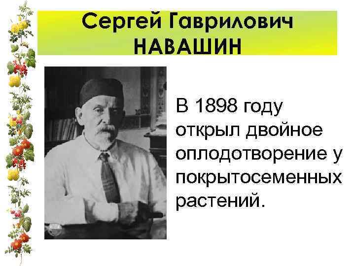 Сергей Гаврилович НАВАШИН В 1898 году открыл двойное Сергей Гаврилович НАВАШИН В 1898 году открыл двойное
