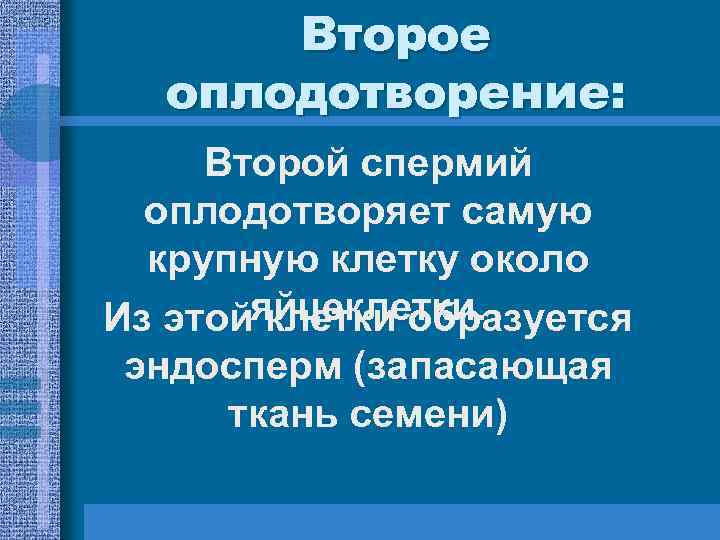 Второе оплодотворение: Второй спермий оплодотворяет самую крупную клетку около Второе оплодотворение: Второй спермий оплодотворяет самую крупную клетку около