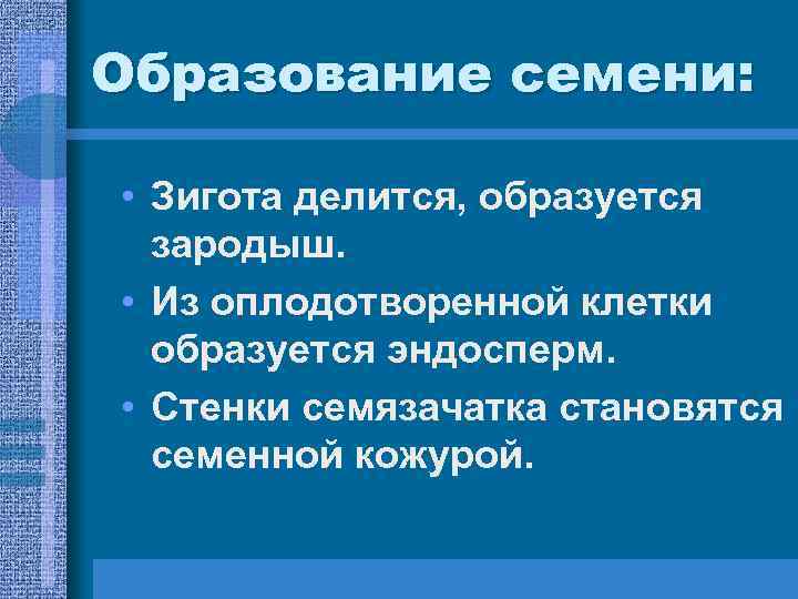 Образование семени: • Зигота делится, образуется зародыш. • Из оплодотворенной клетки Образование семени: • Зигота делится, образуется зародыш. • Из оплодотворенной клетки