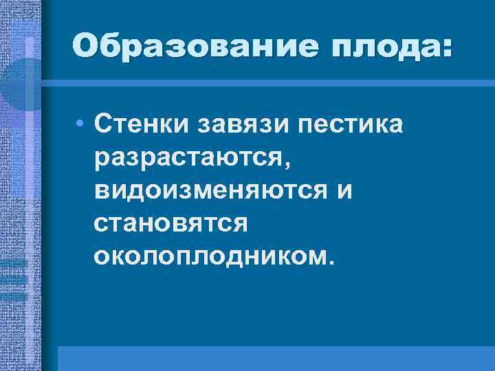 Образование плода: • Стенки завязи пестика разрастаются, видоизменяются и становятся Образование плода: • Стенки завязи пестика разрастаются, видоизменяются и становятся