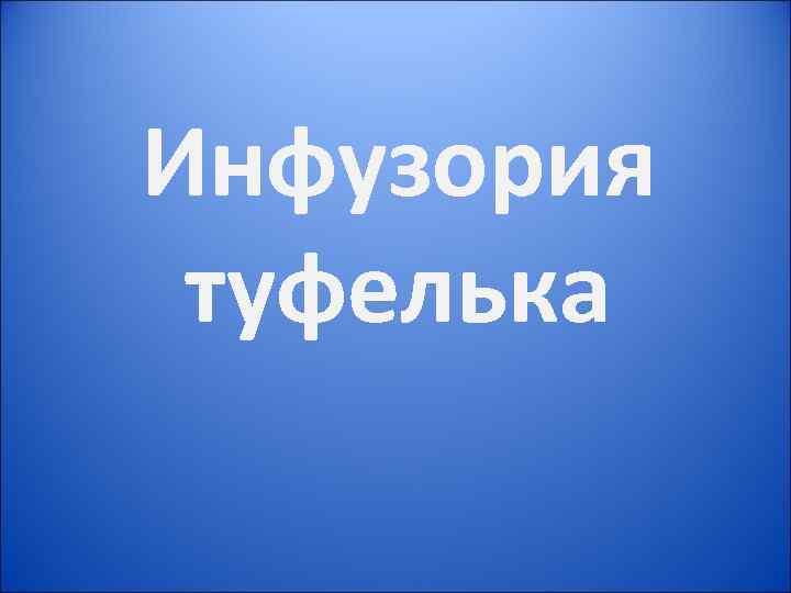 Инфузория туфелька 