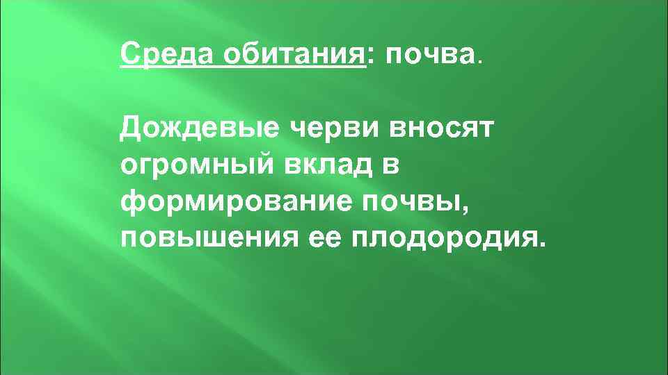 Среда обитания: почва.  Дождевые черви вносят огромный вклад в формирование почвы, повышения ее