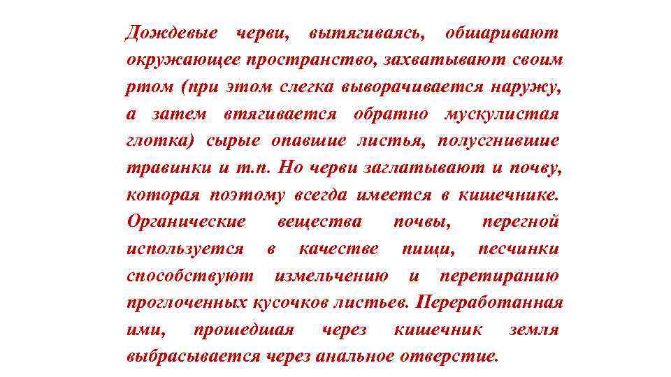 Дождевые черви, вытягиваясь, обшаривают окружающее пространство, захватывают своим ртом (при этом слегка выворачивается наружу,