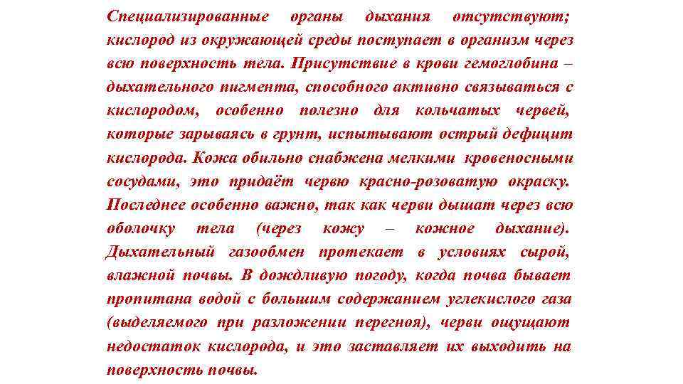 Специализированные органы дыхания отсутствуют; кислород из окружающей среды поступает в организм через всю поверхность