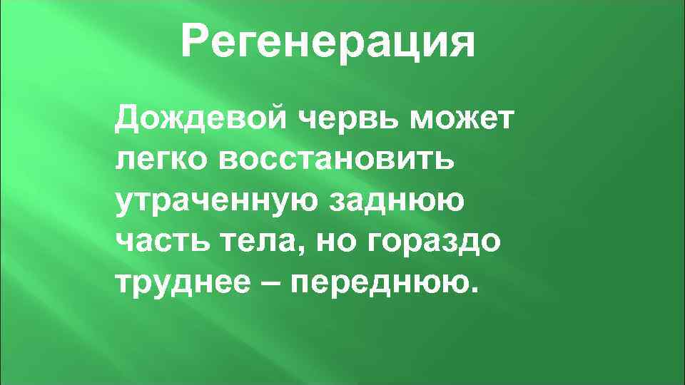  Регенерация Дождевой червь может легко восстановить утраченную заднюю часть тела, но гораздо