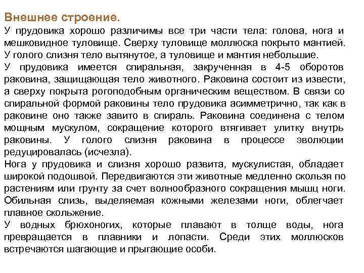Внешнее строение.  У прудовика хорошо различимы все три части тела:  голова, 