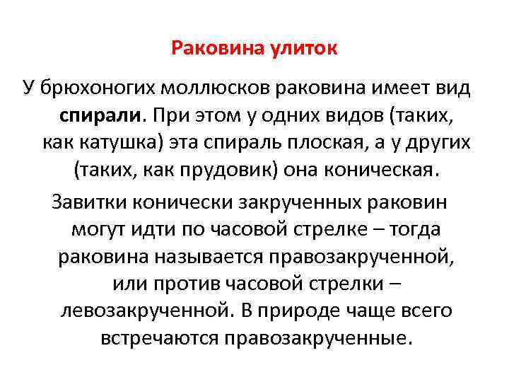     Раковина улиток У брюхоногих моллюсков раковина имеет вид спирали. При