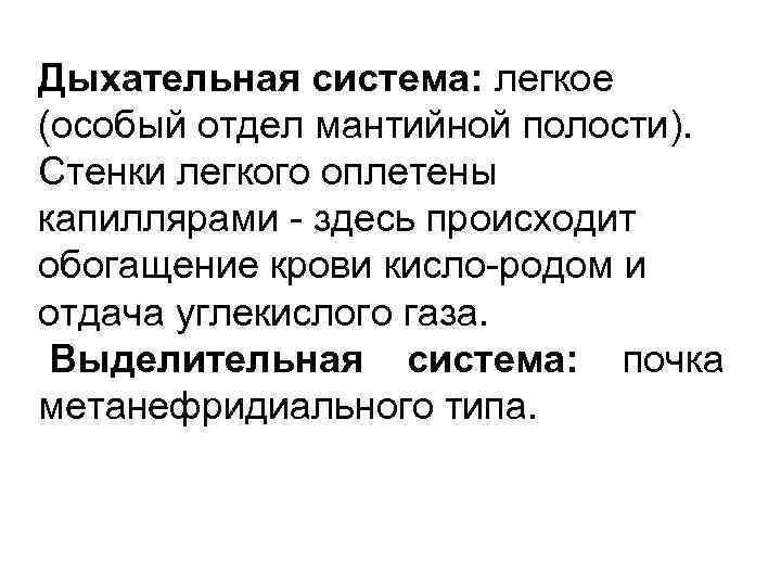 Дыхательная система: легкое (особый отдел мантийной полости).  Стенки легкого оплетены капиллярами  здесь
