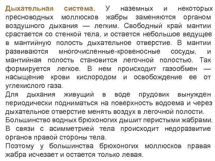 Дыхательная система.  У наземных и некоторых пресноводных моллюсков жабры заменяются органом воздушного дыхания