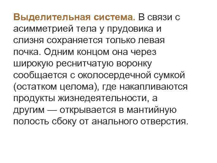 Выделительная система. В связи с асимметрией тела у прудовика и слизня сохраняется только левая