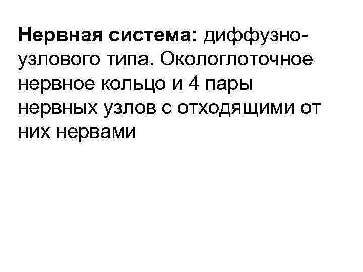 Нервная система: диффузно узлового типа. Окологлоточное нервное кольцо и 4 пары нервных узлов с