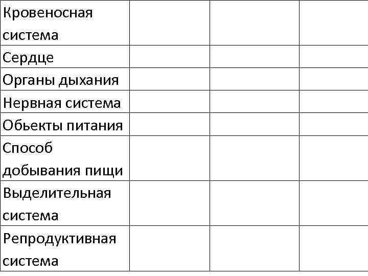 Кровеносная система Сердце Органы дыхания Нервная система Обьекты питания Способ добывания пищи Выделительная система