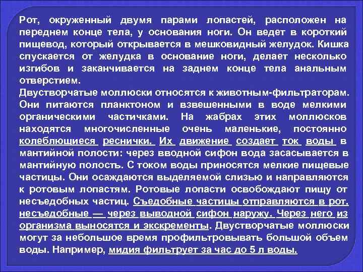 Рот,  окруженный двумя парами лопастей,  расположен на переднем конце тела,  у