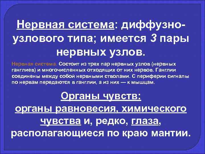  Нервная система: диффузно- узлового типа; имеется 3 пары   нервных узлов. Нервная