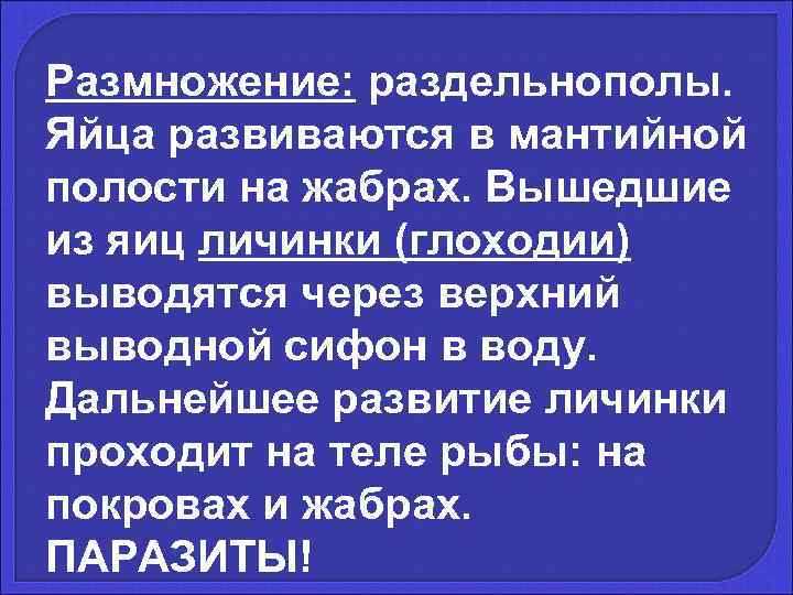 Размножение: раздельнополы.  Яйца развиваются в мантийной полости на жабрах. Вышедшие из яиц личинки