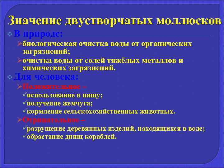 Значение двустворчатых моллюсков. Значение двустворватыхмоллюсков. Значение двухствоочатых моллюскоы.