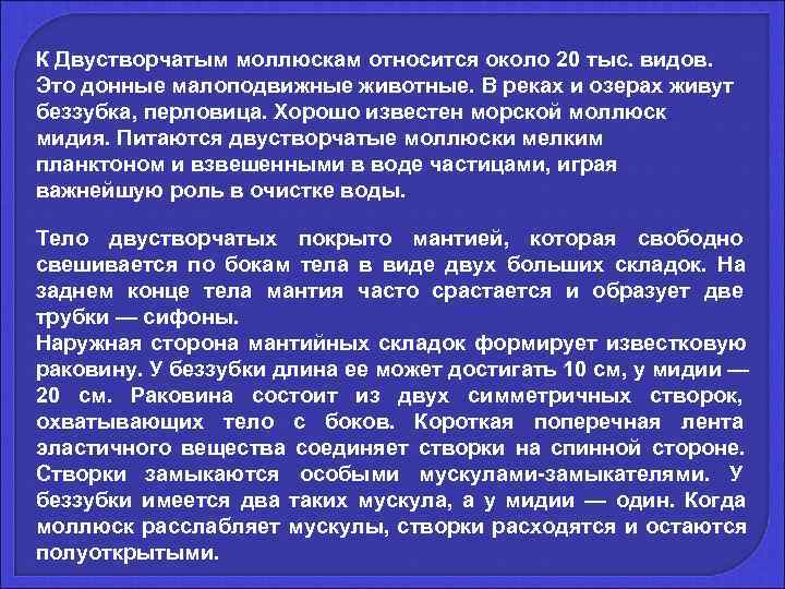 К Двустворчатым моллюскам относится около 20 тыс. видов.  Это донные малоподвижные животные. В